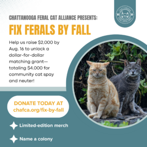 The image includes text about how you can support TNR efforts. There is a photo of two cats.